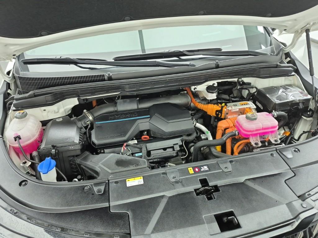 KIA Carnival - Vista 6