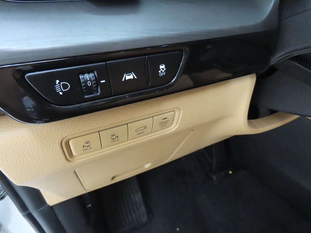 KIA Carnival - Vista 10