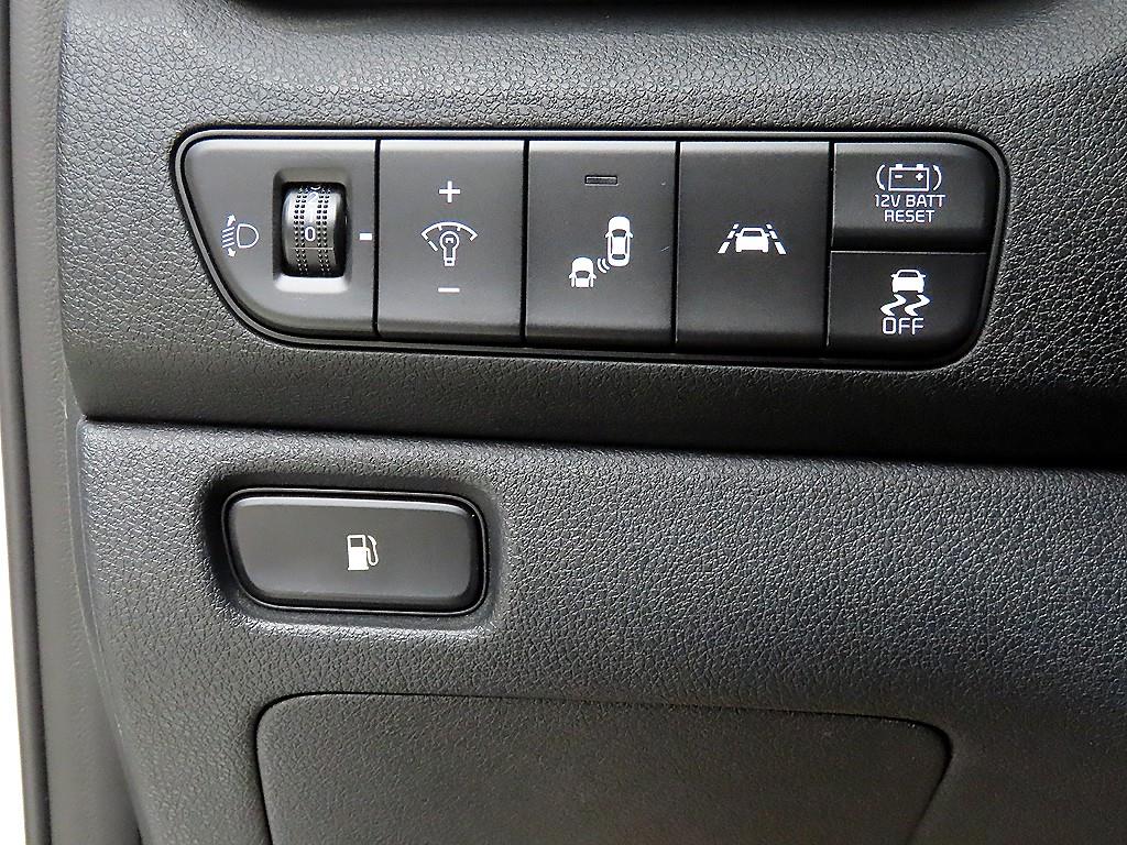 KIA Niro - Vista 12
