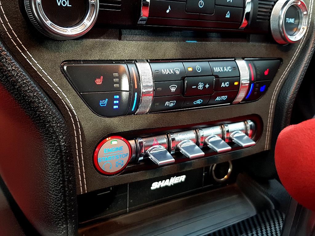 Ford Mustang - Vista 12