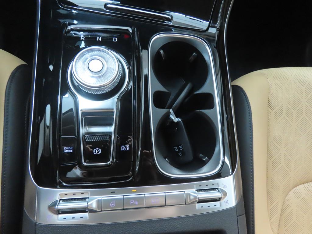 KIA Carnival - Vista 12