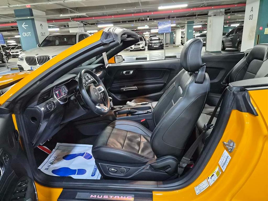 Ford Mustang - Vista 10