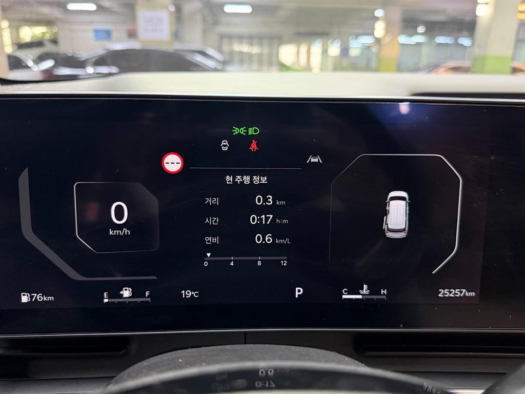 KIA Carnival - Vista 9