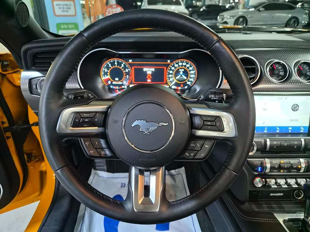 Ford Mustang - Vista 12