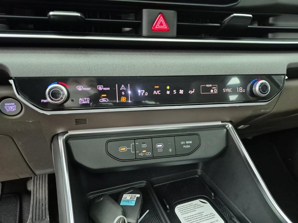 KIA Carnival - Vista 10