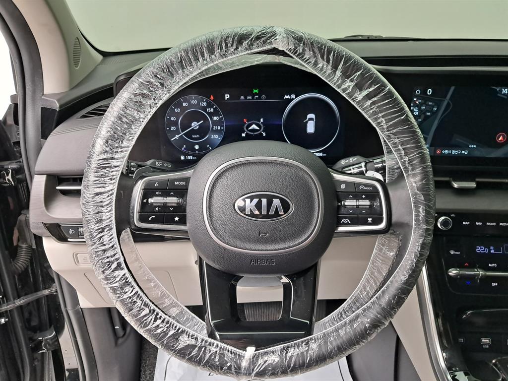 KIA Carnival - Vista 12