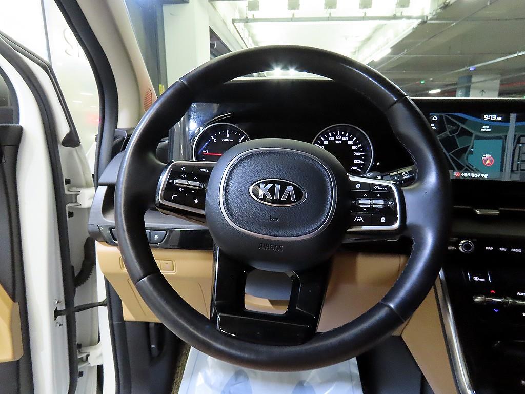KIA Carnival - Vista 8