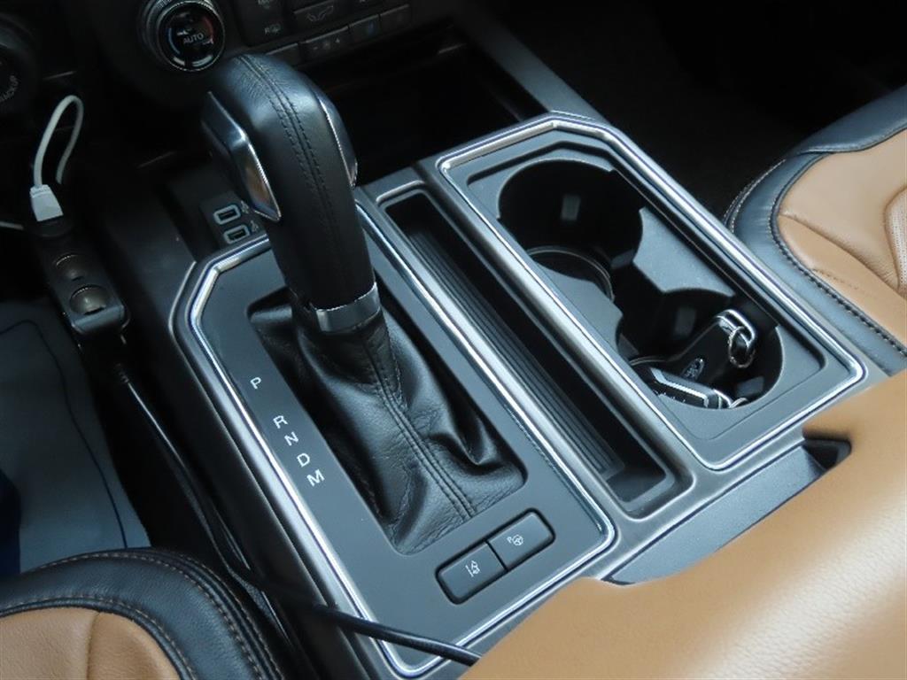 Ford F-Series - Vista 11