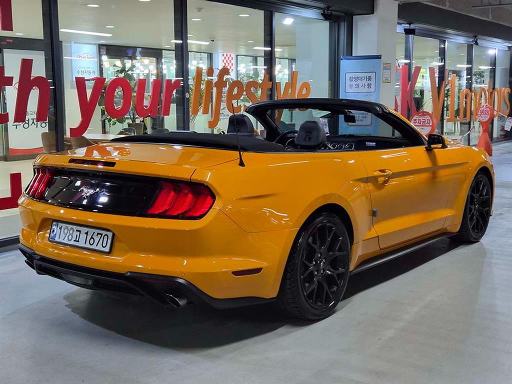 Ford Mustang - Vista 4