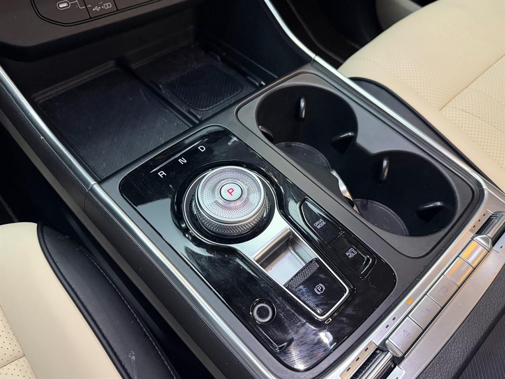 KIA Carnival - Vista 12