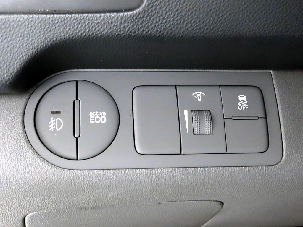 HYUNDAI Starex - Vista 10