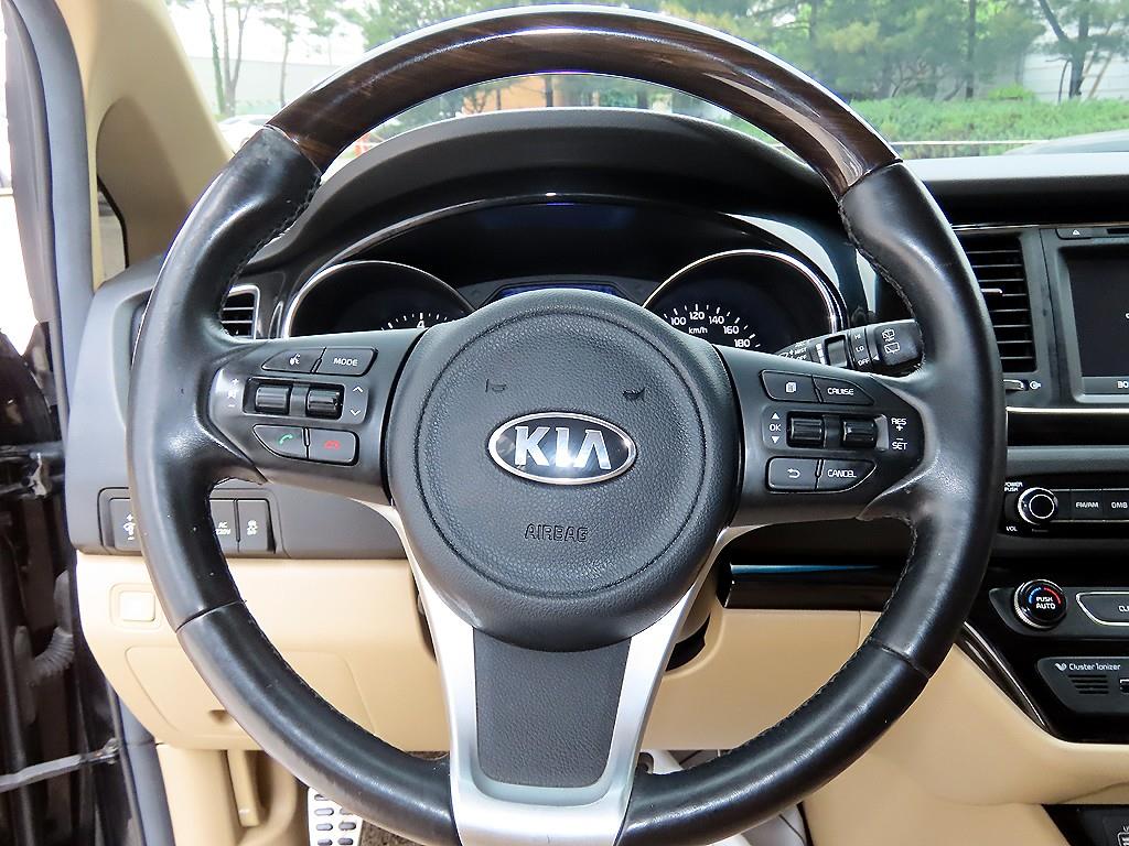 KIA Carnival - Vista 8
