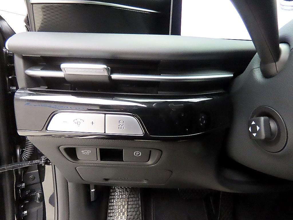 Genesis G80 - Vista 12