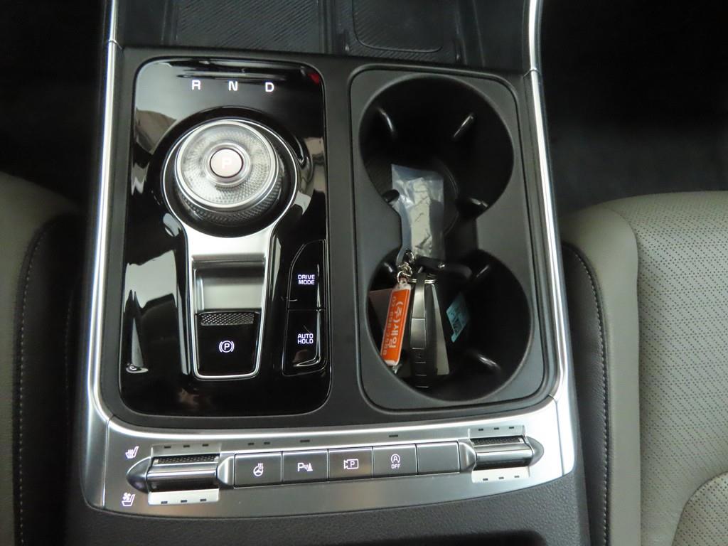 KIA Carnival - Vista 12