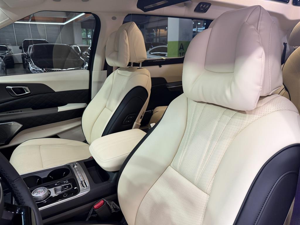 KIA Carnival - Vista 8