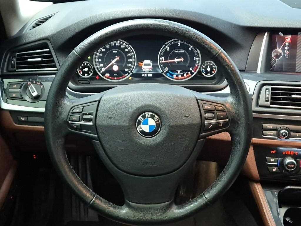 BMW 5 Series - Vista 9