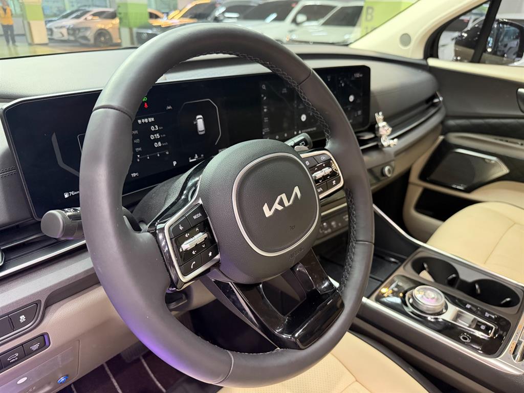 KIA Carnival - Vista 7