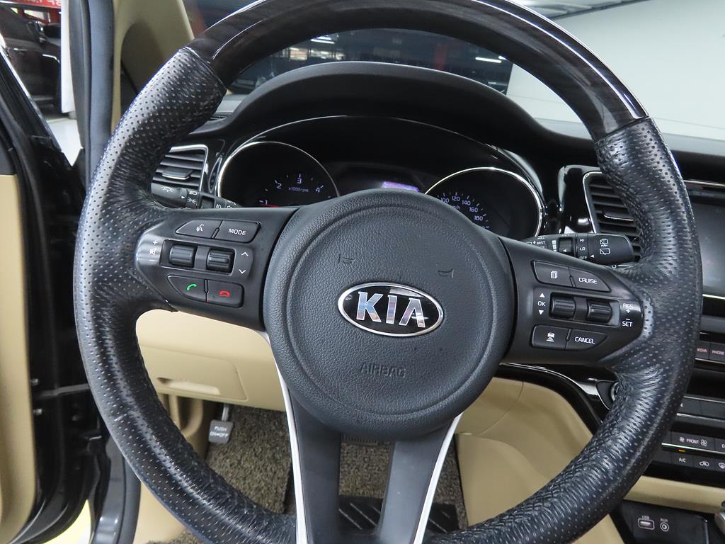 KIA Carnival - Vista 8