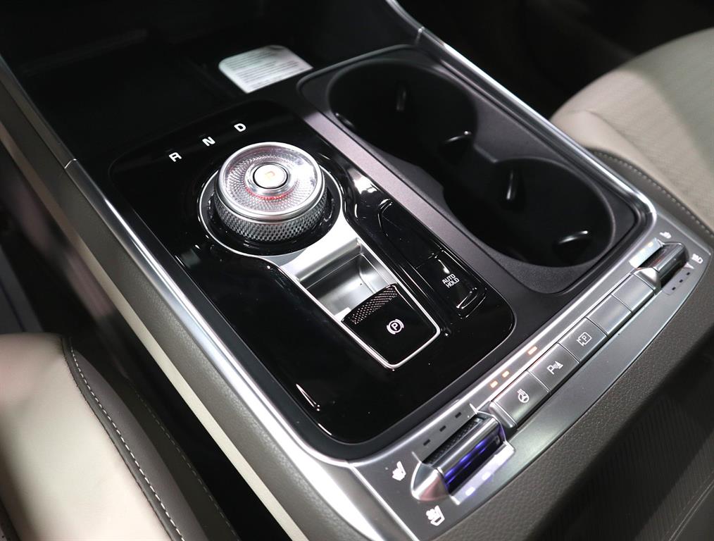 KIA Carnival - Vista 12