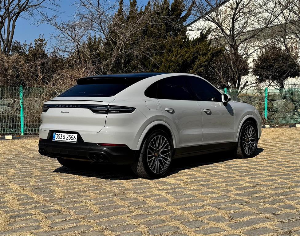 Porsche Cayenne - Vista 9