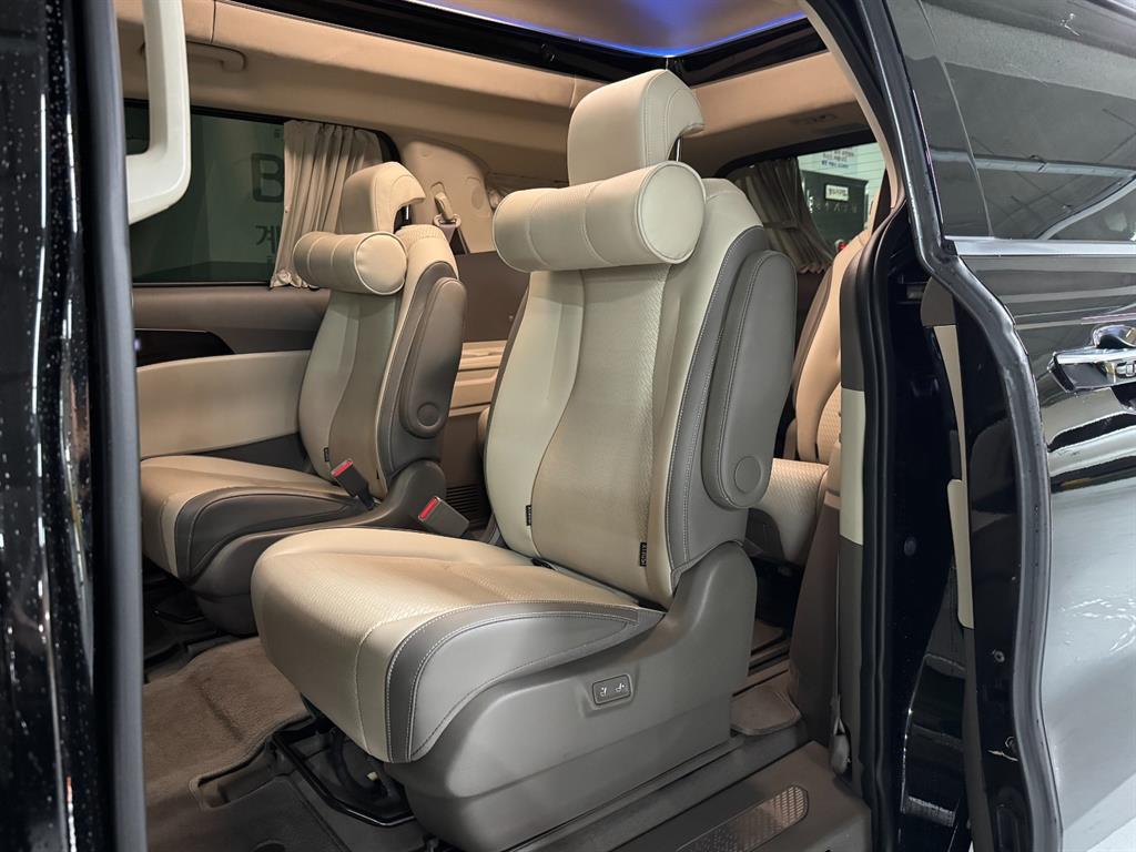 KIA Carnival - Vista 8