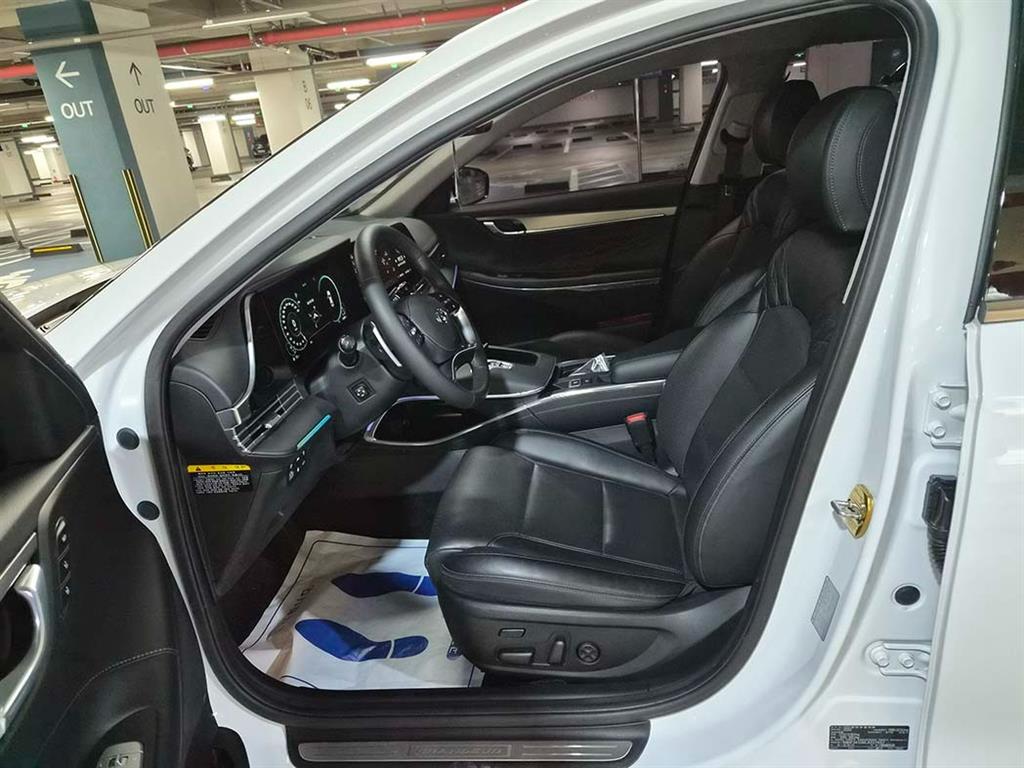 HYUNDAI Grandeur - Vista 6