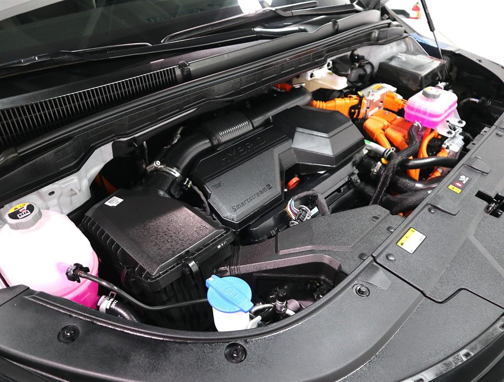 KIA Carnival - Vista 6