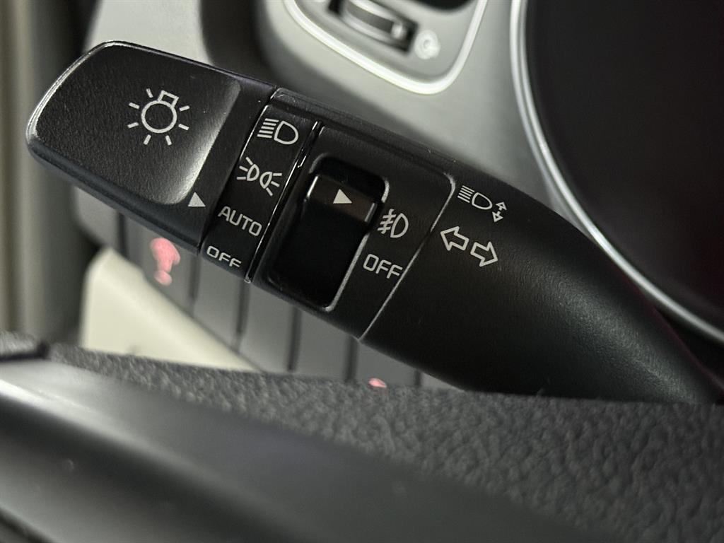 KIA Carnival - Vista 11