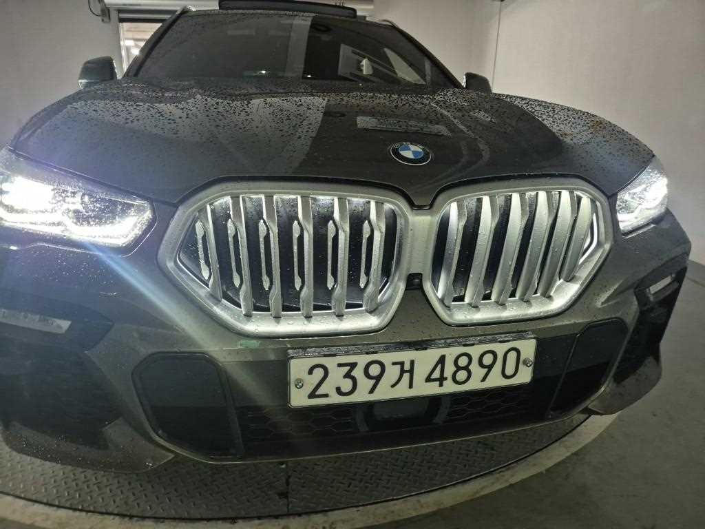 BMW X6 - Vista 11