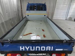 Small Truck Cargo (small) - Vista 10