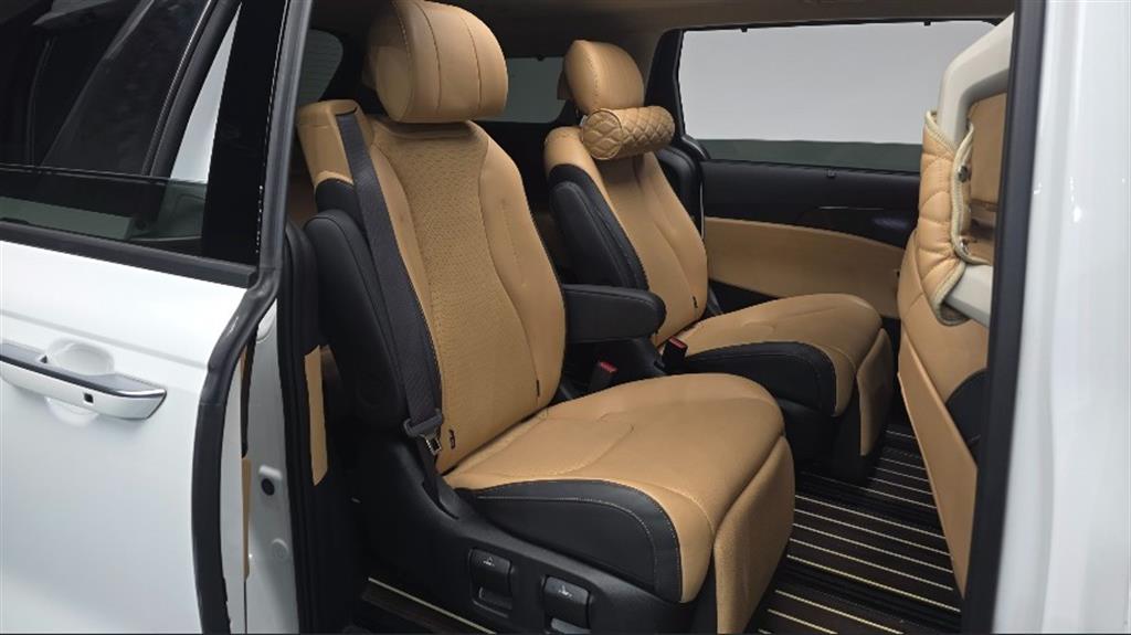KIA Carnival - Vista 9