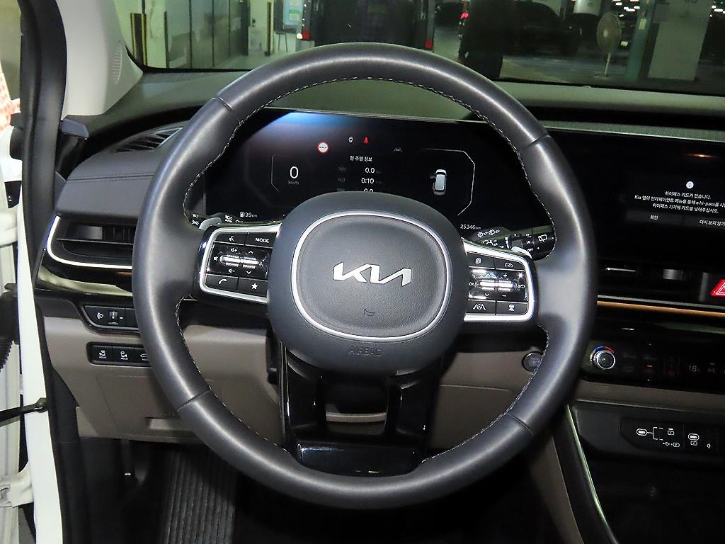 KIA Carnival - Vista 8