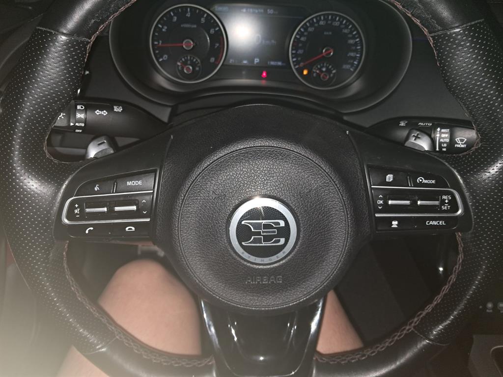 KIA Stinger - Vista 9