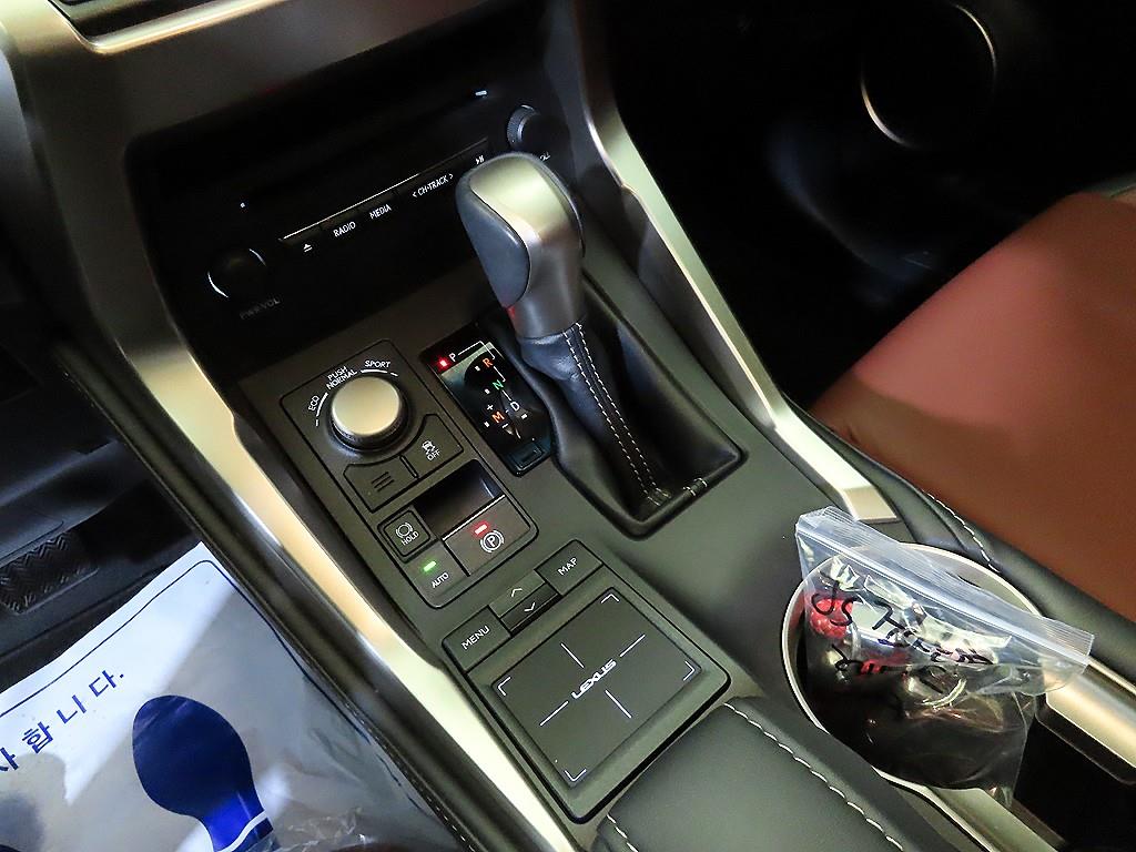 Lexus NX - Vista 12