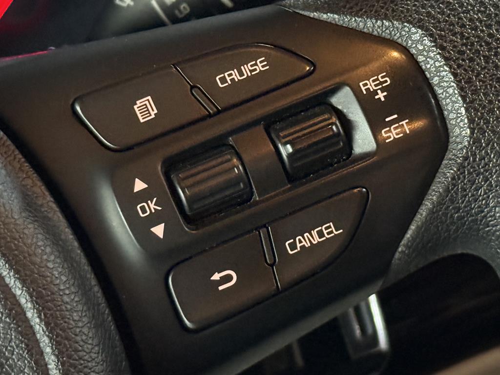 KIA Carnival - Vista 10