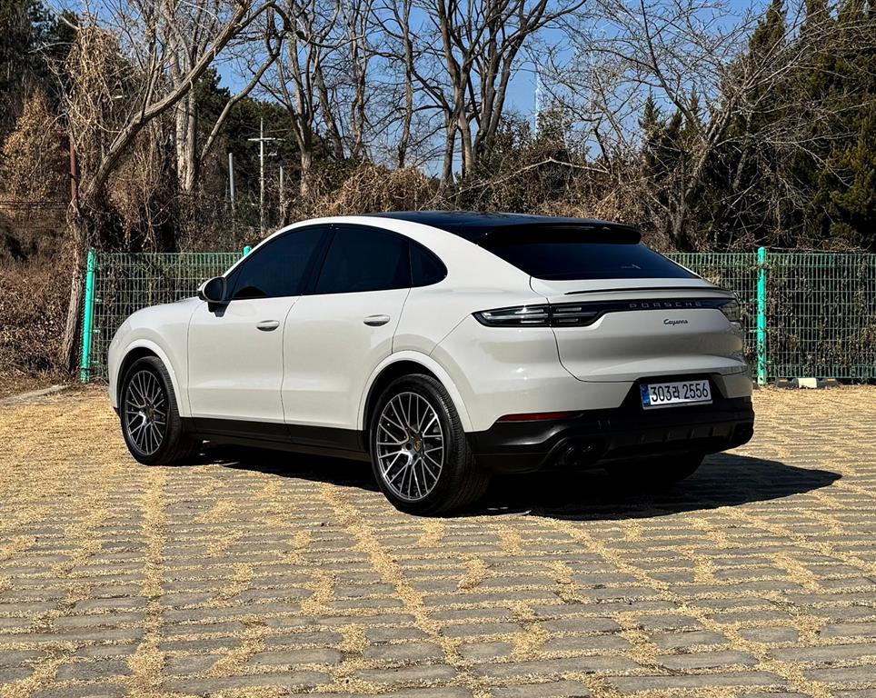 Porsche Cayenne - Vista 6