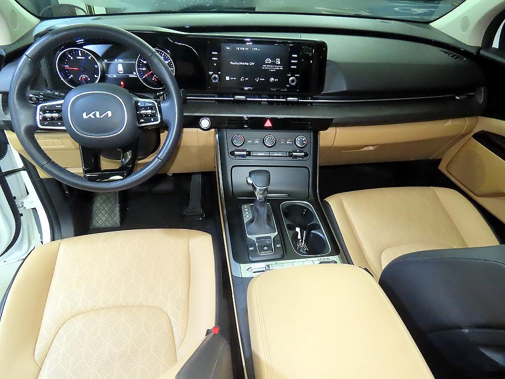 KIA Carnival - Vista 10