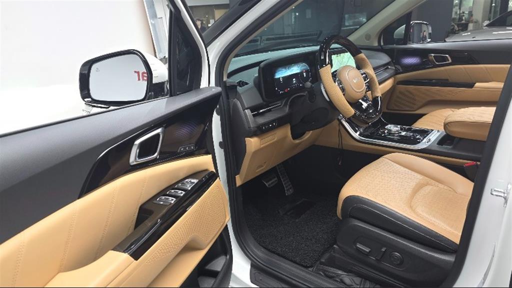 KIA Carnival - Vista 8