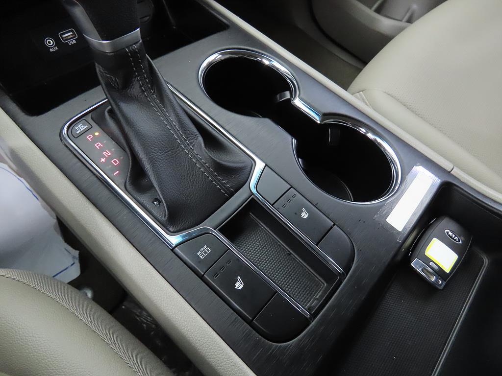 KIA Carnival - Vista 10