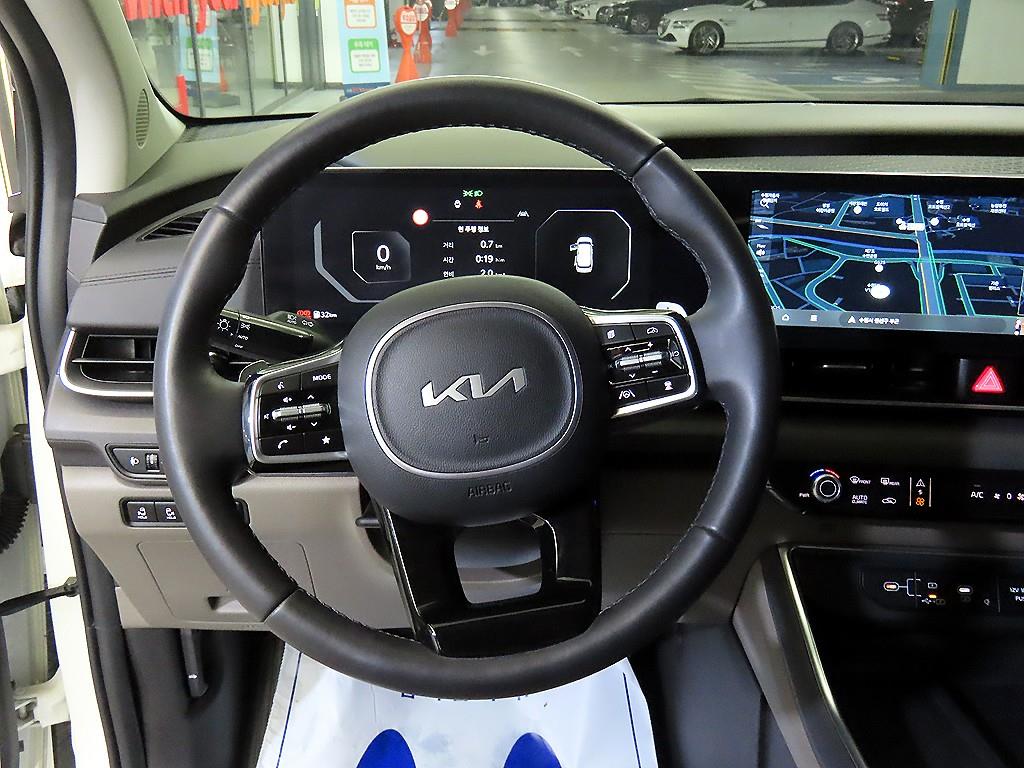 KIA Carnival - Vista 8