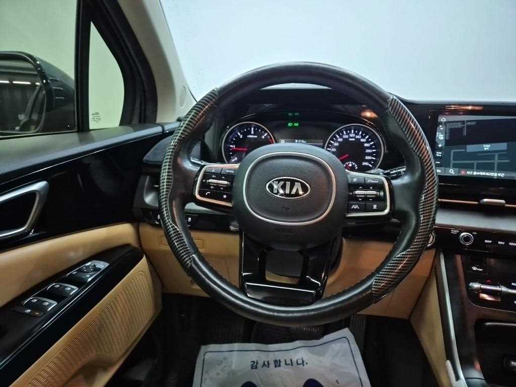 KIA Carnival - Vista 9