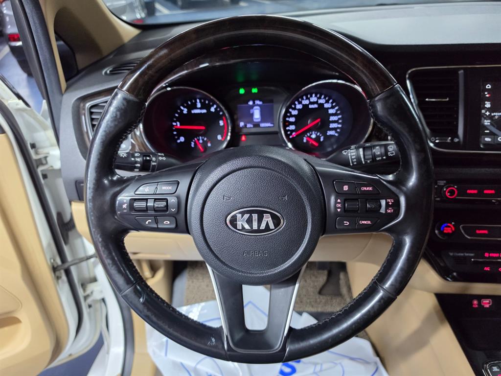 KIA Carnival - Vista 12