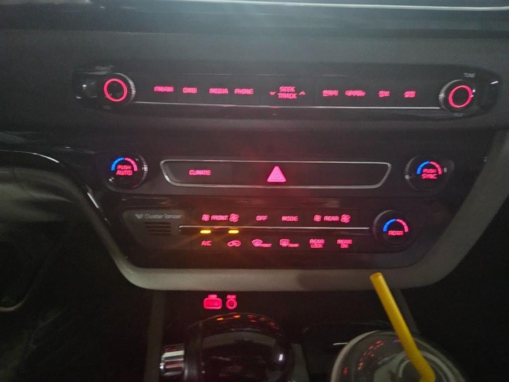 KIA Carnival - Vista 12