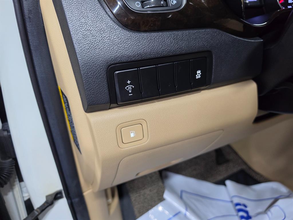 KIA Carnival - Vista 11