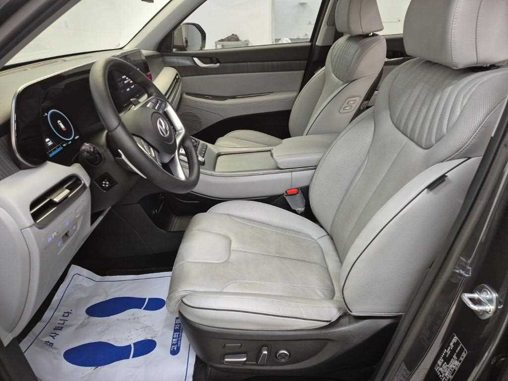 HYUNDAI Palisade - Vista 11