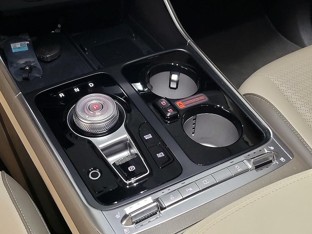 KIA Carnival - Vista 12