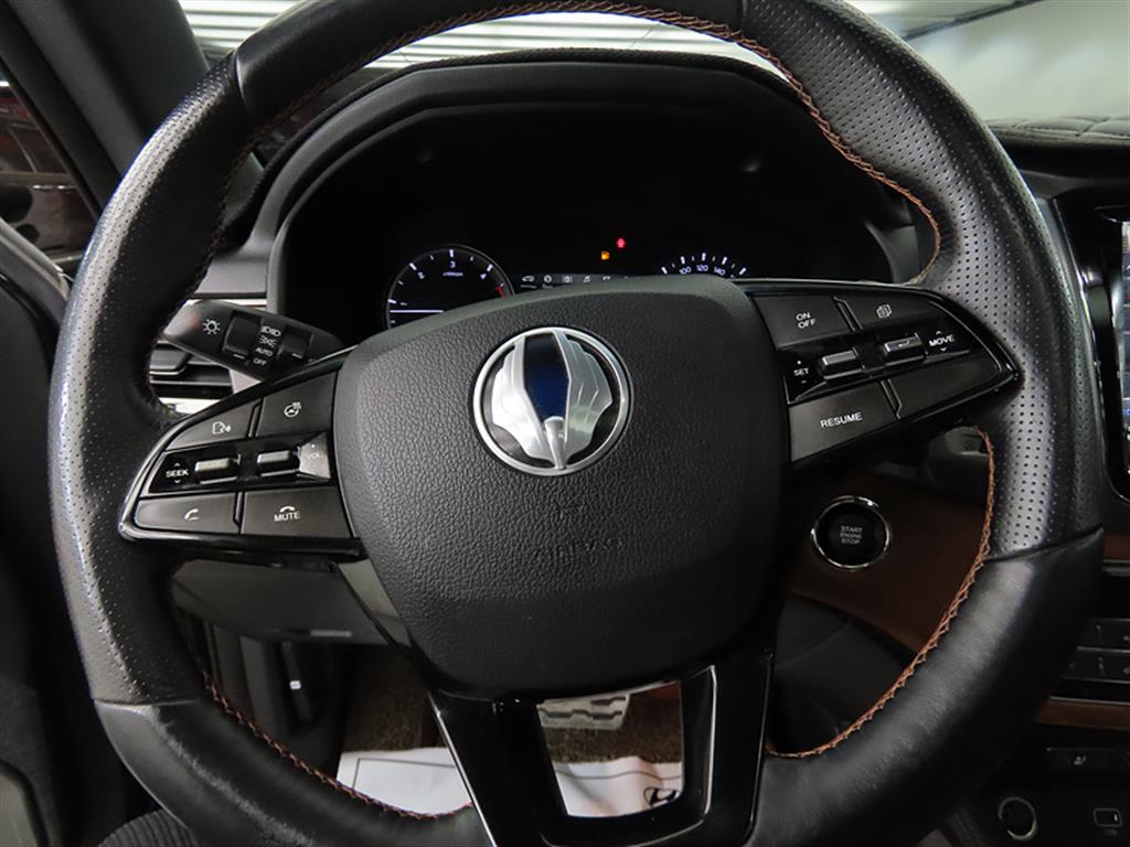 Ssangyong Rexton - Vista 8