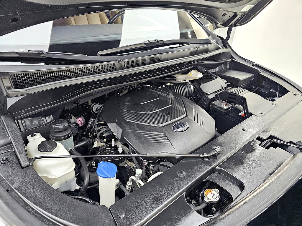 KIA Carnival - Vista 6
