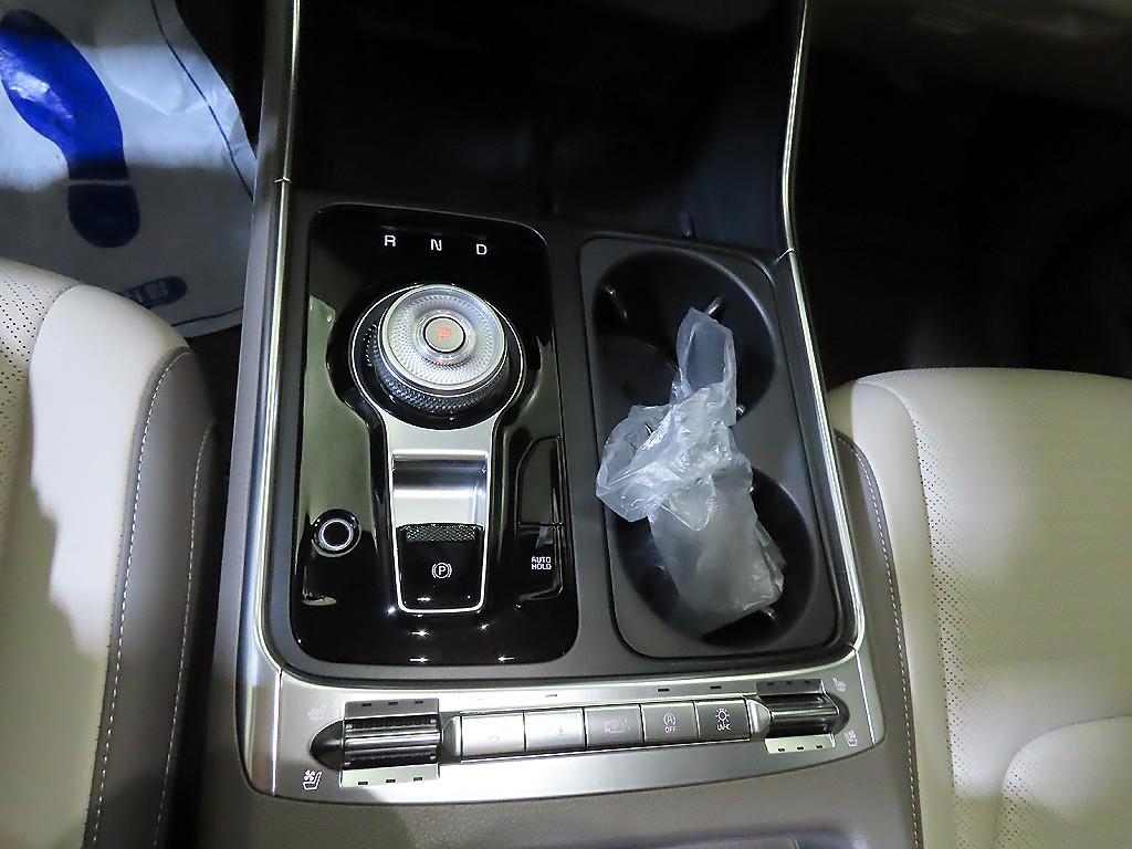 KIA Carnival - Vista 12