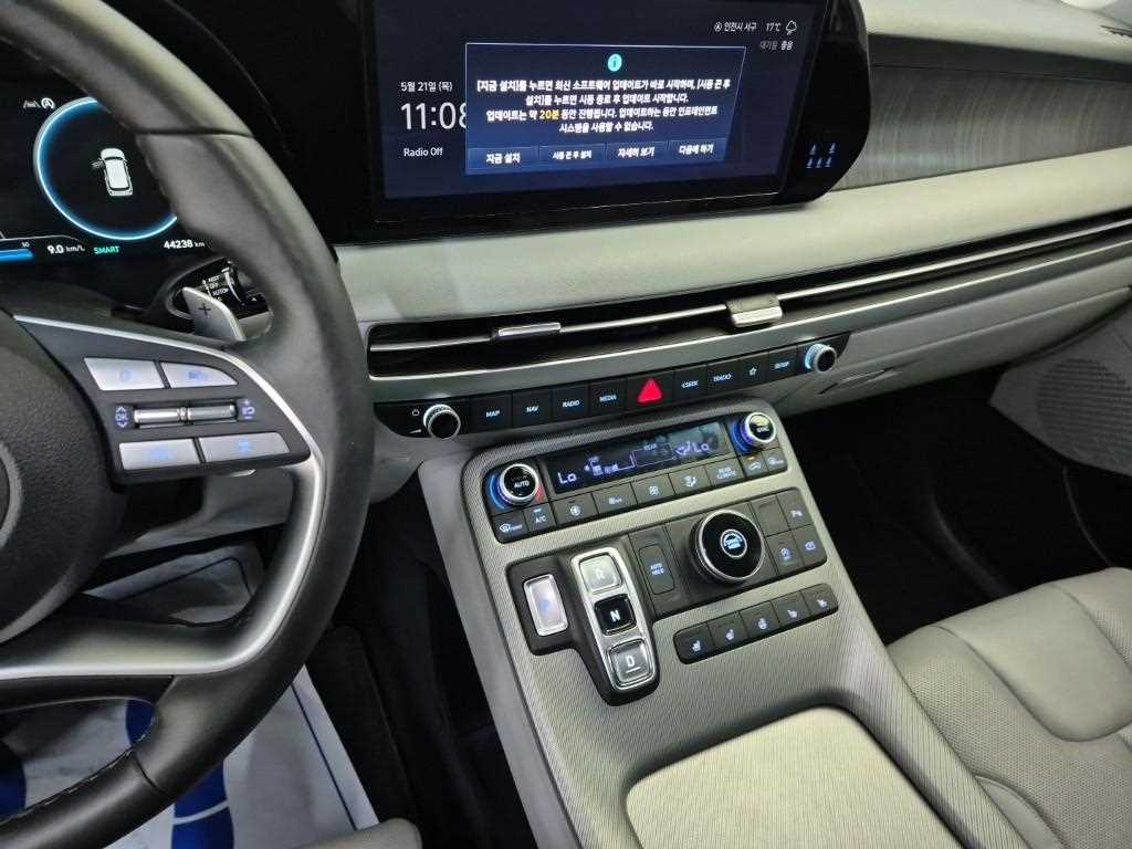 HYUNDAI Palisade - Vista 10